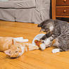 PetSafe PetSafe® Fox Den Toy - Automatisch Kattenspeelgoed met Rondzwaaiende Vossenstaart - Schakelt Automatisch uit PetSafe PetSafe® Fox Den Toy - Automatisch Kattenspeelgoed met Rondzwaaiende Vossenstaart - Schakelt Automatisch uit