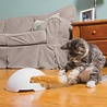 PetSafe PetSafe® Fox Den Toy - Automatisch Kattenspeelgoed met Rondzwaaiende Vossenstaart - Schakelt Automatisch uit PetSafe PetSafe® Fox Den Toy - Automatisch Kattenspeelgoed met Rondzwaaiende Vossenstaart - Schakelt Automatisch uit