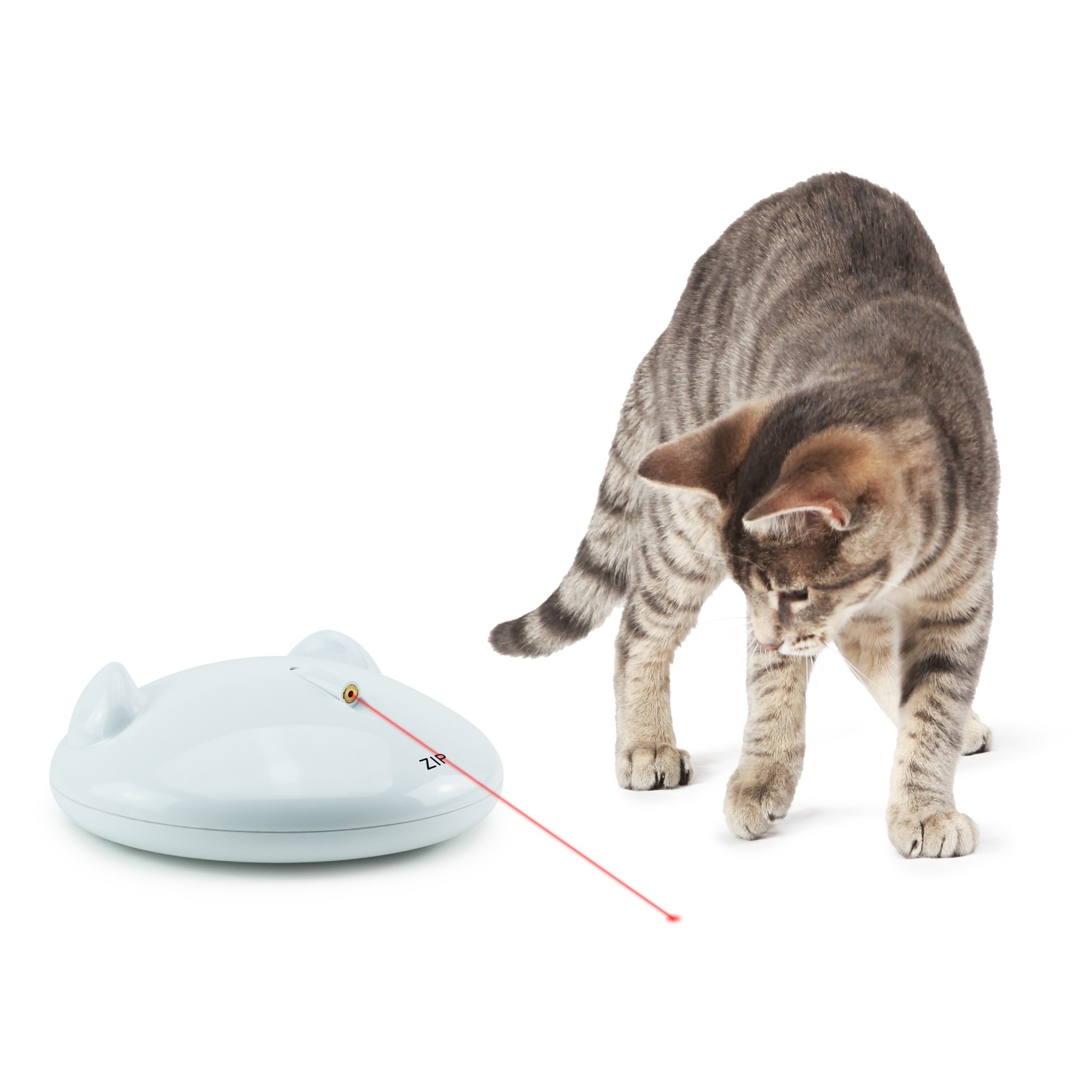 Behoefte aan Afstoting Land van staatsburgerschap Automatisch Kattenspeelgoed met Laser - Max&Luna
