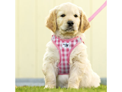 Curli Puppy Set - Instap Honden Tuigje + Hondenriem