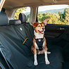 Kurgo Kurgo Wander - Beschermhoes voor achterbank auto, Waterbestendig - Beige, Zwart of Grijs - 140cm breed Kurgo Kurgo Wander - Beschermhoes voor achterbank auto, Waterbestendig - Beige, Zwart of Grijs - 140cm breed