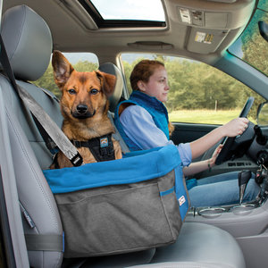 Comfortabele Autostoel voor Kleine Honden