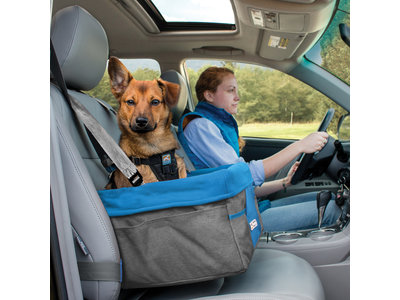 Comfortabele autostoel voor kleine honden