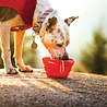 Kurgo Kurgo Collaps-a-Bowl - Opvouwbare / inklapbare voerbak voor honden voor onderweg - Rood, oranje, blauw Kurgo Kurgo Collaps-a-Bowl - Opvouwbare / inklapbare voerbak voor honden voor onderweg - Rood, oranje, blauw