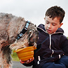 Kurgo Kurgo Collaps-a-Bowl - Opvouwbare / inklapbare voerbak voor honden voor onderweg - Rood, oranje, blauw Kurgo Kurgo Collaps-a-Bowl - Opvouwbare / inklapbare voerbak voor honden voor onderweg - Rood, oranje, blauw