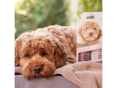 Labradoodle Vacht Verzorgingsset - Shampoo en Anti-Klit Spray voor Langharige of Krullende Vacht