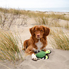 Beco Beco Pluche Hondenknuffel met Pieper Schildpad - Hondenknuffel van Gerecycled Materiaal - Maat M/L Beco Beco Pluche Hondenknuffel met Pieper Schildpad - Hondenknuffel van Gerecycled Materiaal - Maat M/L
