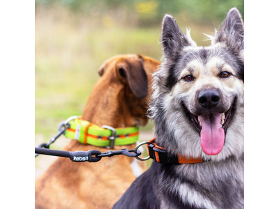 Dubbele Hondenriem voor Twee Honden - Rebel Petz - Small en Large