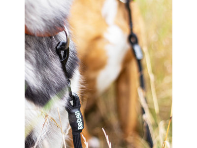 Dubbele Hondenriem voor Twee Honden - Rebel Petz - Small en Large