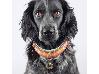 Leren hondenhalsband met kraalpatroon - Dog with a Mission Tiger Lilly - in XXS tot XXL