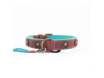 Dog with a Mission hondenhalsband Urban