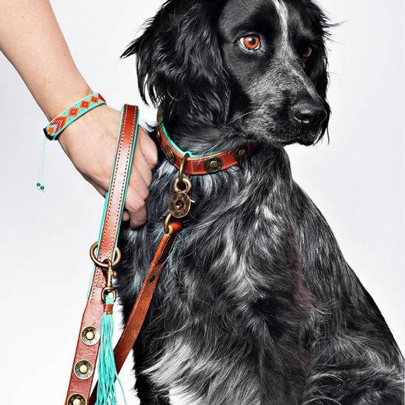 hoekpunt Sada goochelaar Sterke hondenriemen in diverse kleuren en maten - Max&Luna