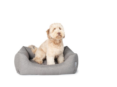 Comfortabele Hondenmand Shark Grey met Anti-slip onderzijde - Rebel Petz - in S/M/L/XL