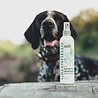 Greenfields Honden Droogshampoo - Spray & Go - Greenfields Greenfields Honden Droogshampoo - Spray & Go - Greenfields