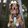 Greenfields Hondenshampoo voor Gekleurde Vacht - Greenfields Colourful Coat Shampoo - 250 ml Greenfields Hondenshampoo voor Gekleurde Vacht - Greenfields Colourful Coat Shampoo - 250 ml