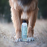 Greenfields Hondenshampoo voor Gekleurde Vacht - Greenfields Colourful Coat Shampoo - 250 ml Greenfields Hondenshampoo voor Gekleurde Vacht - Greenfields Colourful Coat Shampoo - 250 ml