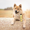 Greenfields Greenfields Hondenshampoo voor Langharige Vacht - Zorgt voor een zijdezachte glanzende vacht - Inhoud 270 ml Greenfields Greenfields Hondenshampoo voor Langharige Vacht - Zorgt voor een zijdezachte glanzende vacht - Inhoud 270 ml