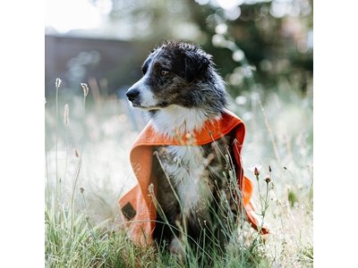 Greenfields Cape Towel - Badjas van microvezel voor honden - Om je hond snel af te drogen - Oranje - 50x50cm