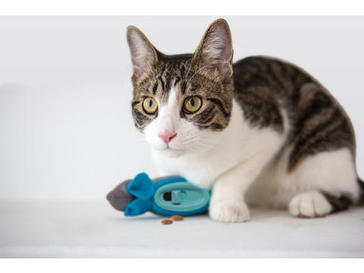 Interactieve kattenvoerbak - Doc & Phoebe Indoor Hunting Feeder - Stimuleer het Jachtinstinct van je kat - Kattenspeelgoed