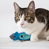 Doc & Phoebe's Interactief kattenvoerspeeltje - Doc & Phoebe Indoor Hunting Feeder - 3 Pack - Stimuleer het Jachtinstinct van je kat - Kattenspeelgoed Doc & Phoebe's Interactief kattenvoerspeeltje - Doc & Phoebe Indoor Hunting Feeder - 3 Pack - Stimuleer het Jachtinstinct van je kat - Kattenspeelgoed