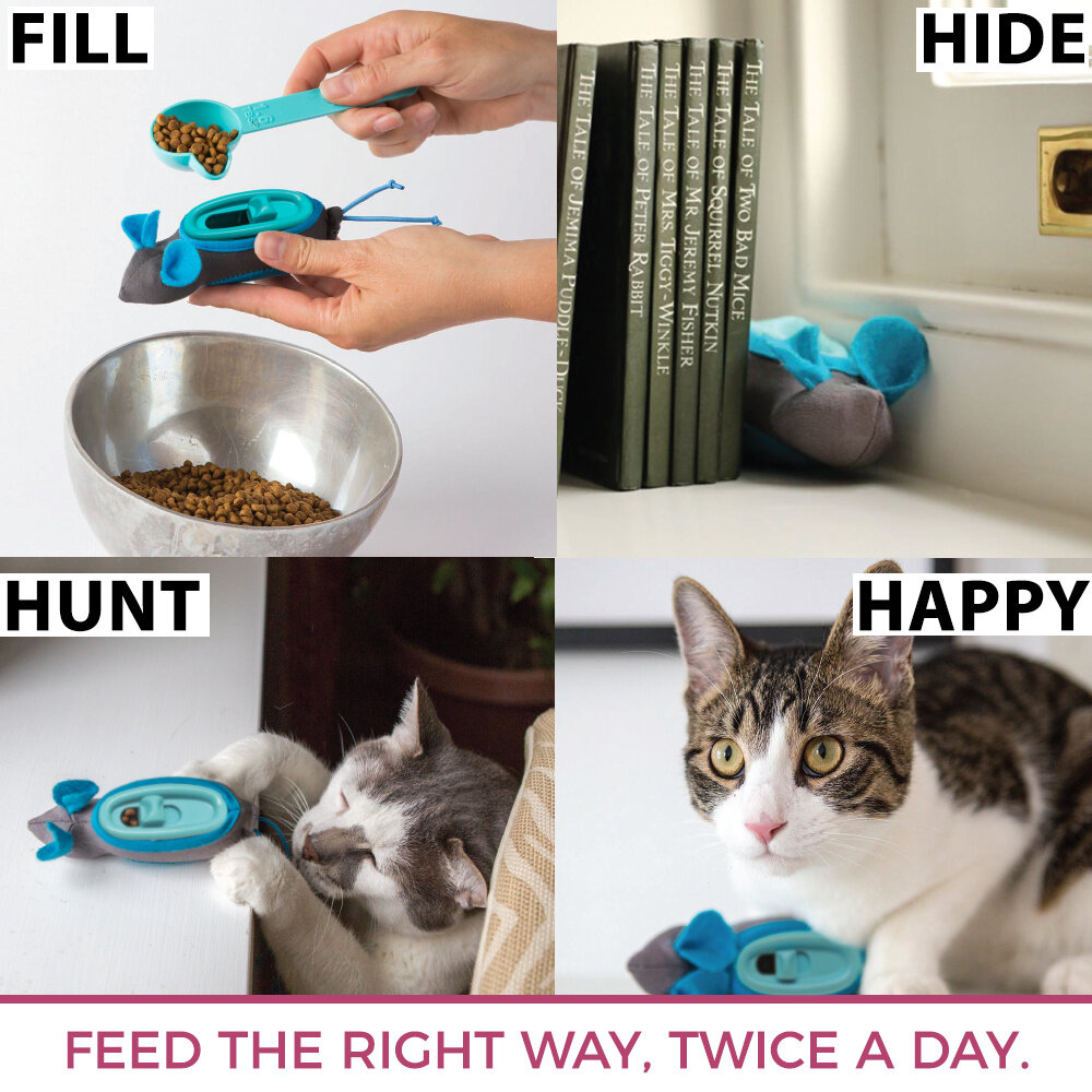 Cat hunter cheap feeder