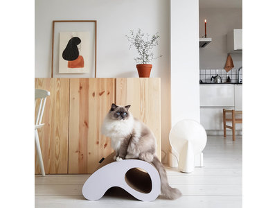 Design Krabmeubel voor Grote en Kleine Katten