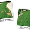 Dog Rocks Dog Rocks Natuurstenen - Voorkom Gele of kale plekken in het gras - 100% natuurlijk product Dog Rocks Dog Rocks Natuurstenen - Voorkom Gele of kale plekken in het gras - 100% natuurlijk product