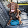Kurgo Kurgo Splash-Free Wander Water Bowl - Drinkbak voor in de auto - Blauw of Rood Kurgo Kurgo Splash-Free Wander Water Bowl - Drinkbak voor in de auto - Blauw of Rood