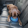 Kurgo Kurgo Splash-Free Wander Water Bowl - Drinkbak voor in de auto - Blauw of Rood Kurgo Kurgo Splash-Free Wander Water Bowl - Drinkbak voor in de auto - Blauw of Rood