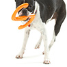 West Paw West Paw Bumi® met Zogoflex - Sterke Flexibele Werpstok voor Honden - Trekspel - Apporteren - Small of Large West Paw West Paw Bumi® met Zogoflex - Sterke Flexibele Werpstok voor Honden - Trekspel - Apporteren - Small of Large