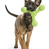 West Paw West Paw Skamp - Sterk interactief hondenspeelgoed - met Zogoflex Echo - Vervangt de houten stok - Paars, Groen of Oranje West Paw West Paw Skamp - Sterk interactief hondenspeelgoed - met Zogoflex Echo - Vervangt de houten stok - Paars, Groen of Oranje