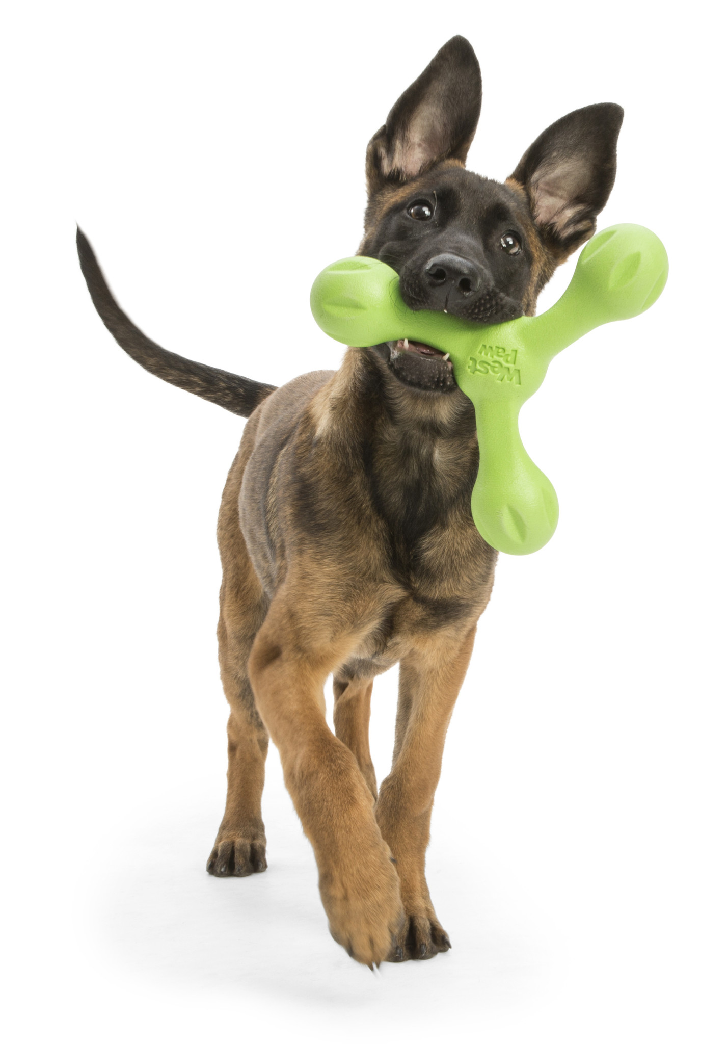 interactief hondenspeelgoed - Met Zogoflex Echo | Max&Luna