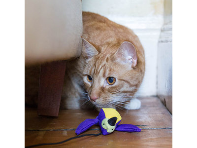 Beco Plush Wand Toy Humma de Kolibrie