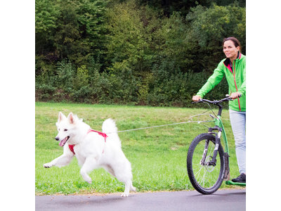 Ultra Sterke Opvouwbare Hondenriem in Grijs - Small & Large