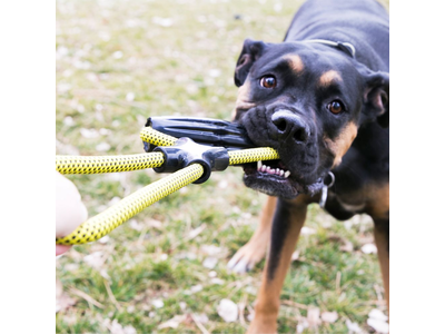 Kong Jaxx Infinity Tug robuust speeltouw voor sterke honden