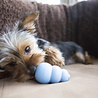 Kong Kong Puppy Latex Speelgoed - Ideaal bij het tanden wisselen - masseert het tandvlees - Blauw of Roze - Geen kleurkeuze mogelijk - Small, Medium, Large Kong Kong Puppy Latex Speelgoed - Ideaal bij het tanden wisselen - masseert het tandvlees - Blauw of Roze - Geen kleurkeuze mogelijk - Small, Medium, Large