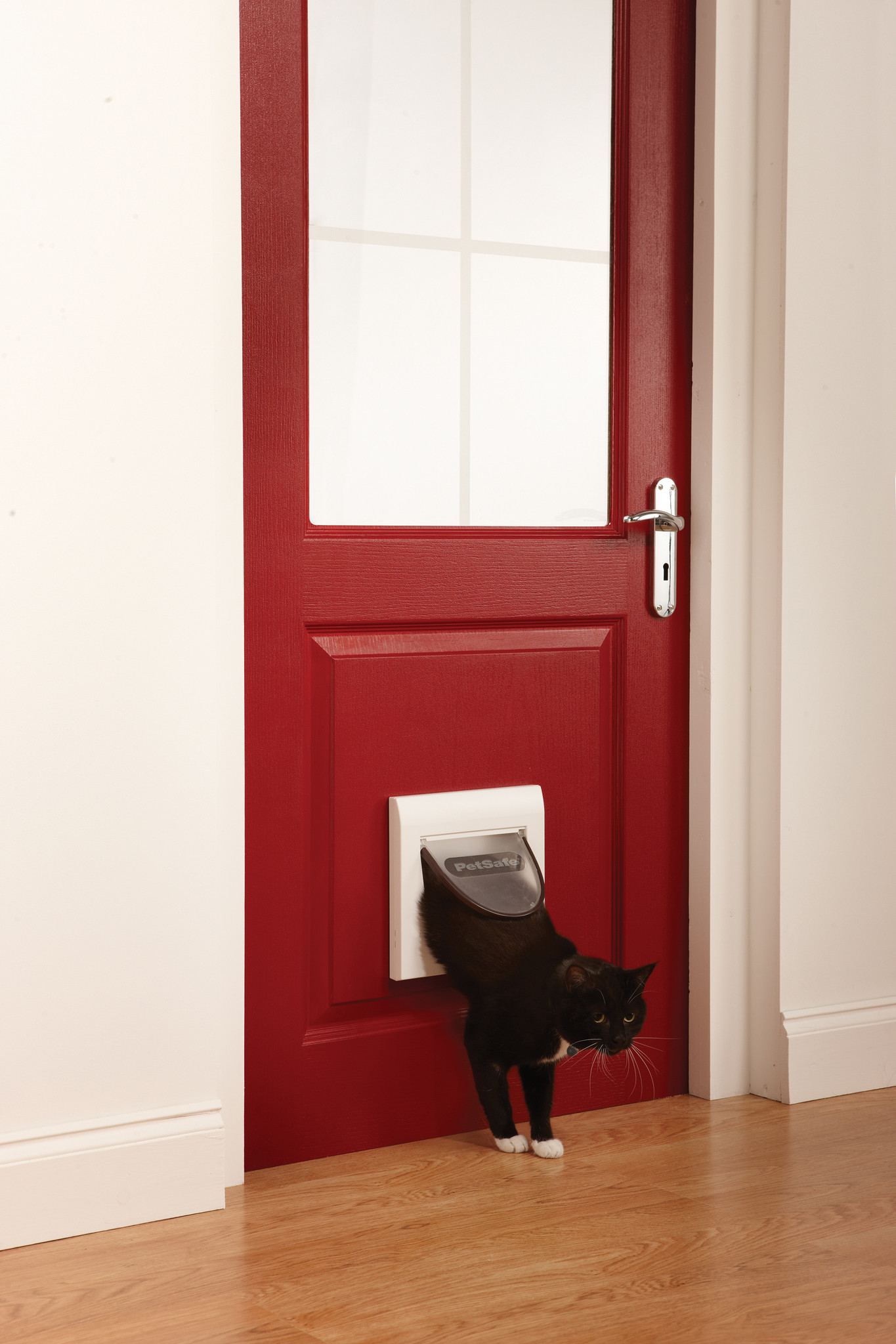 Zoekmachinemarketing Aanmoediging Verslinden Staywell® 4 sluitposities klassiek kattenluik Wit - Max&Luna