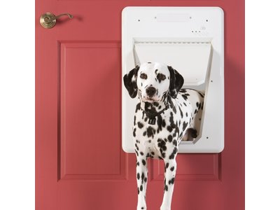 PetSafe® SmartDoor™- elektronisch huisdierluik met smartkey – Large