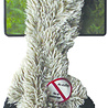 Skinneeez Skinneeez Plush Racoon - vrij van pluche vulling - met pieper Skinneeez Skinneeez Plush Racoon - vrij van pluche vulling - met pieper