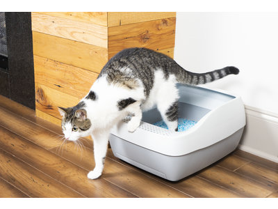 PetSafe® Deluxe silicaat kattenbakvullingssysteem inc. één zak met PetSafe™ kristallen kattenbakvulling, een plaskussen en een schep met een ophanghaak