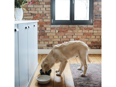 Design Bamboe Voerbak voor Honden - District 70 - Merengue, Ice Blauw en Donkergrijs in S/M/L
