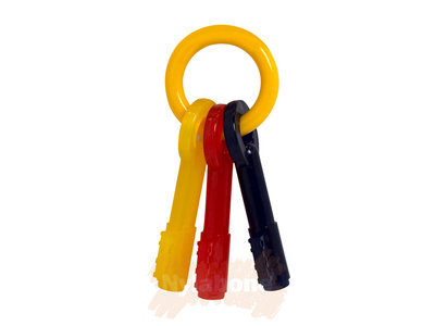 Nylabone Puppy kauwspeelgoed sleutels met baconsmaak
