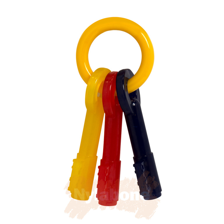 vrachtauto Logisch Makkelijk te begrijpen Nylabone Puppy kauwspeelgoed sleutels met baconsmaak - Max&Luna