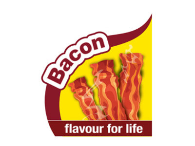 Nylabone Puppy kauwspeelgoed sleutels met baconsmaak