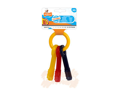 Nylabone Puppy kauwspeelgoed sleutels met baconsmaak