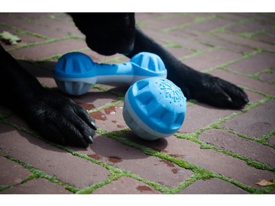 Verkoelend bot voor honden - CoolPets Cooling Frozen Bone