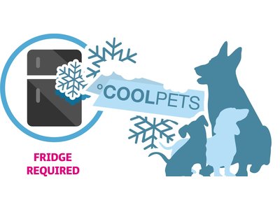 Verkoelend bot voor honden - CoolPets Cooling Frozen Bone