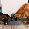 PetSafe PetSafe Drinkwell® 7.5 litre Pet Fountain - Drinkfontein voor grote honden - Met vrijvallende waterstroom en verstelbare stroomsnelheid - 7,5 liter PetSafe PetSafe Drinkwell® 7.5 litre Pet Fountain - Drinkfontein voor grote honden - Met vrijvallende waterstroom en verstelbare stroomsnelheid - 7,5 liter