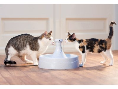 Drinkwell® 360 drinkfontein 3.8 liter