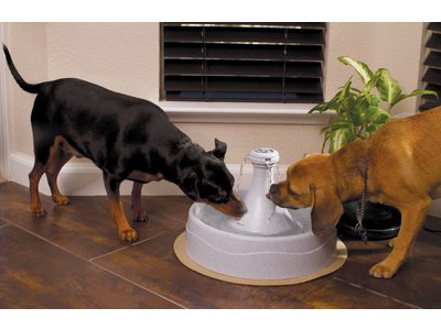 Drinkwell® 360 drinkfontein 3.8 liter